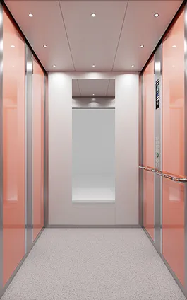 Asansör Kabini - Sina